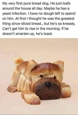 1756398473971.jpeg