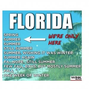 still summer.jpg