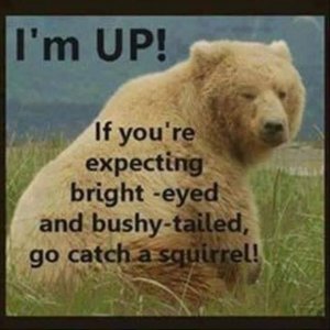 FB_IMG_1756404574685.jpg