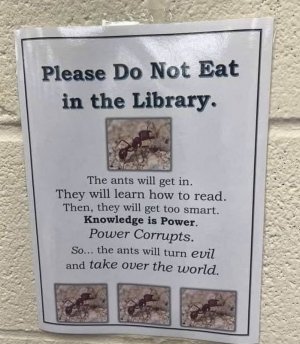 538137165_791144563275572_114555611050339859_n.jpg