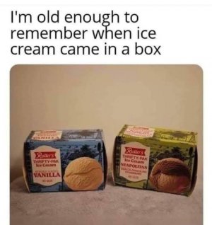 IMG_2537.jpeg