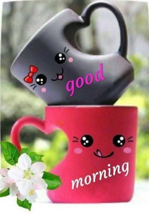 FB_IMG_1756454634034.jpg