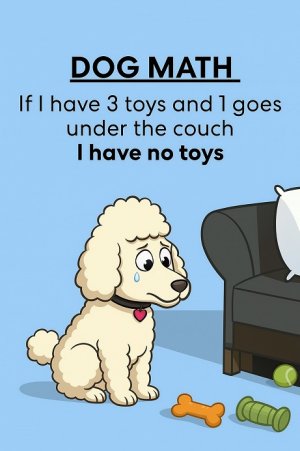dog math.jpg
