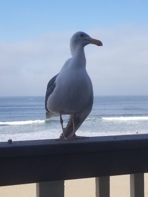 20180528_085347.jpg
