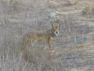 IMG_0972.jpg
