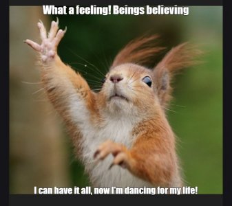 squirrel4.jpg