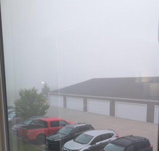 fog jpeg.jpg