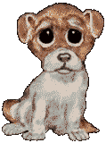 puppy aw sad.gif