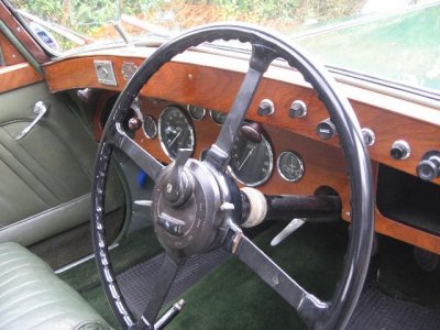 riley-kestrel_12439.jpg