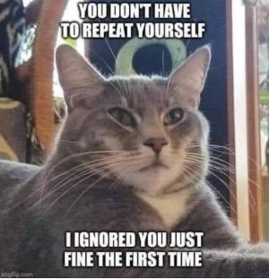 FB_IMG_1756594257853.jpg