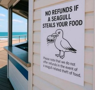 a sign seagull.jpg