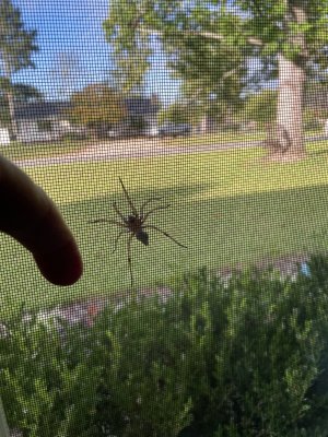 IMG_2403.jpeg