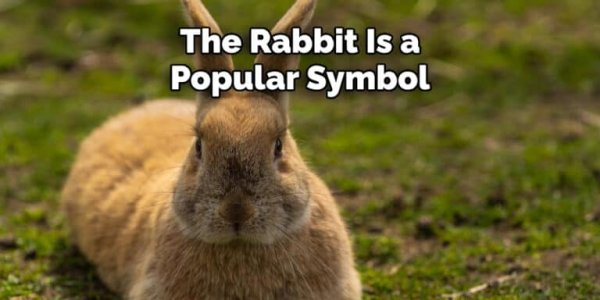 The-Rabbit-Is-a-Popular-Symbol-768x384.jpg