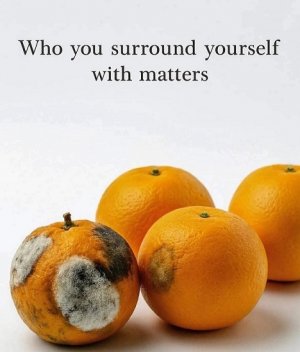 it matters.jpg