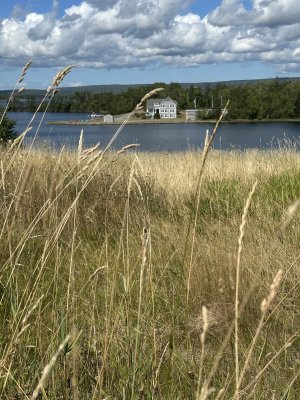 IMG_0287.jpeg