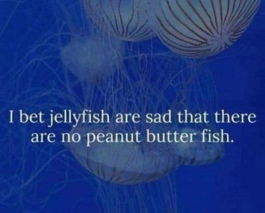 jellyfish.jpg