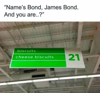 540783159_1211188794359327_6847648830475218432_n.jpg