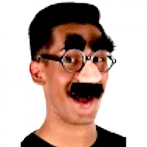 Full Mnty disguise.jpg