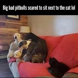 scared.jpg