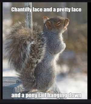 squirrel2.jpg