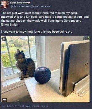 1756734381353.jpeg