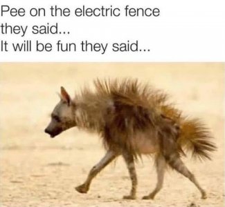 1756744927403.jpeg