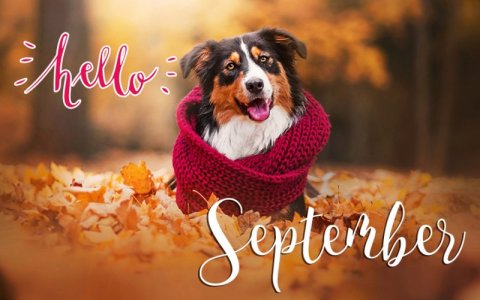 hellosept.jpg