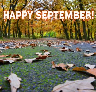 leavestreecanopy-pixabay happy sept.jpg
