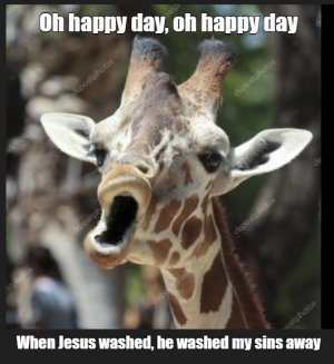 giraffe.jpg