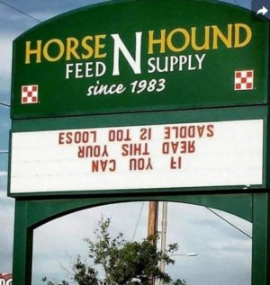 saddle.jpeg