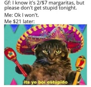 540869943_1329111735545995_8368806644159124527_n.jpg