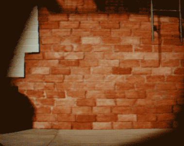 tumblr_173dc2cd763992a73c6654dce6c02971_cd911ea2_540.gif.gif