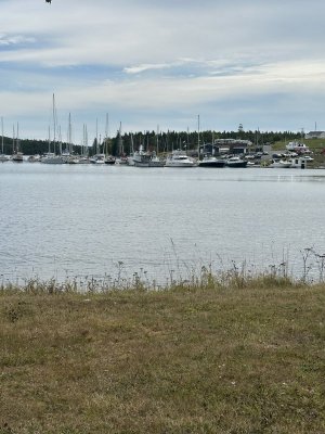 IMG_0256.jpeg