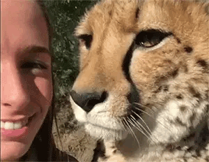 tumblr_109da0157ce27a76d94c1ac59188b0e3_49113607_400.gif.gif