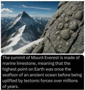 a who knew tectonics.jpg