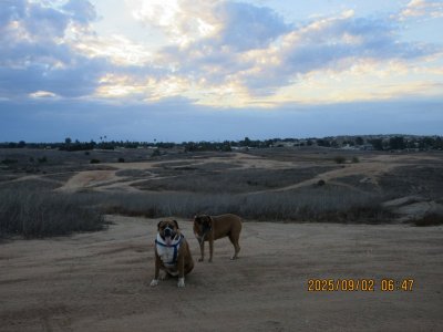 IMG_1106.JPG