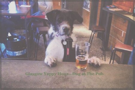Brewdog-Glasgow-Yappy-Hour.jpg