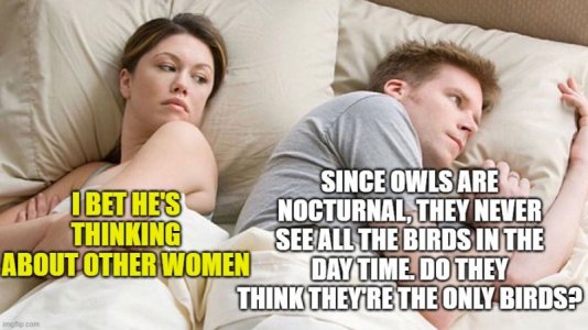 5tfosx.jpg