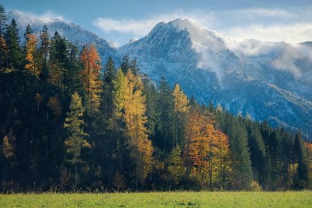 mountains-8540699_1280.jpg