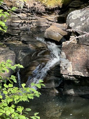IMG_0336.jpeg