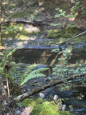 IMG_0346.jpeg
