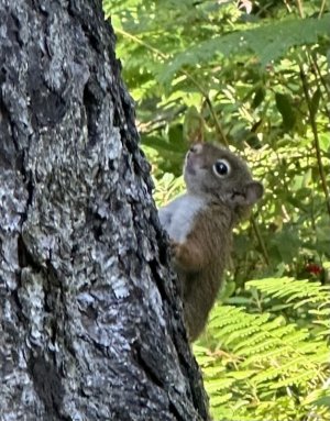 IMG_0344.jpeg