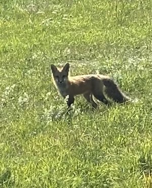 IMG_0349.jpeg