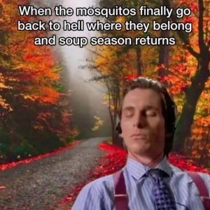 apSGOD1.jpeg