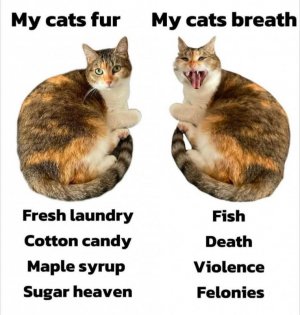 FB_IMG_1756869156819.jpg