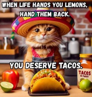 FB_IMG_1756999784601.jpg