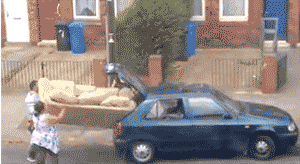 IMG_2633.gif