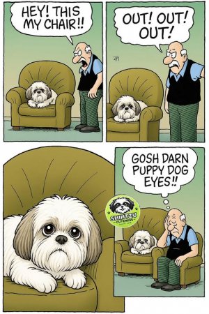a puppy joke.jpg