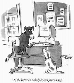 NY'r Cartoon ,dogs.jpeg