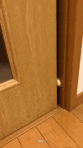 peek.gif